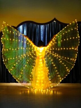 Festival Wings Yellow Lights Bellydance Angel Fairy Butterfly Dance New Costume